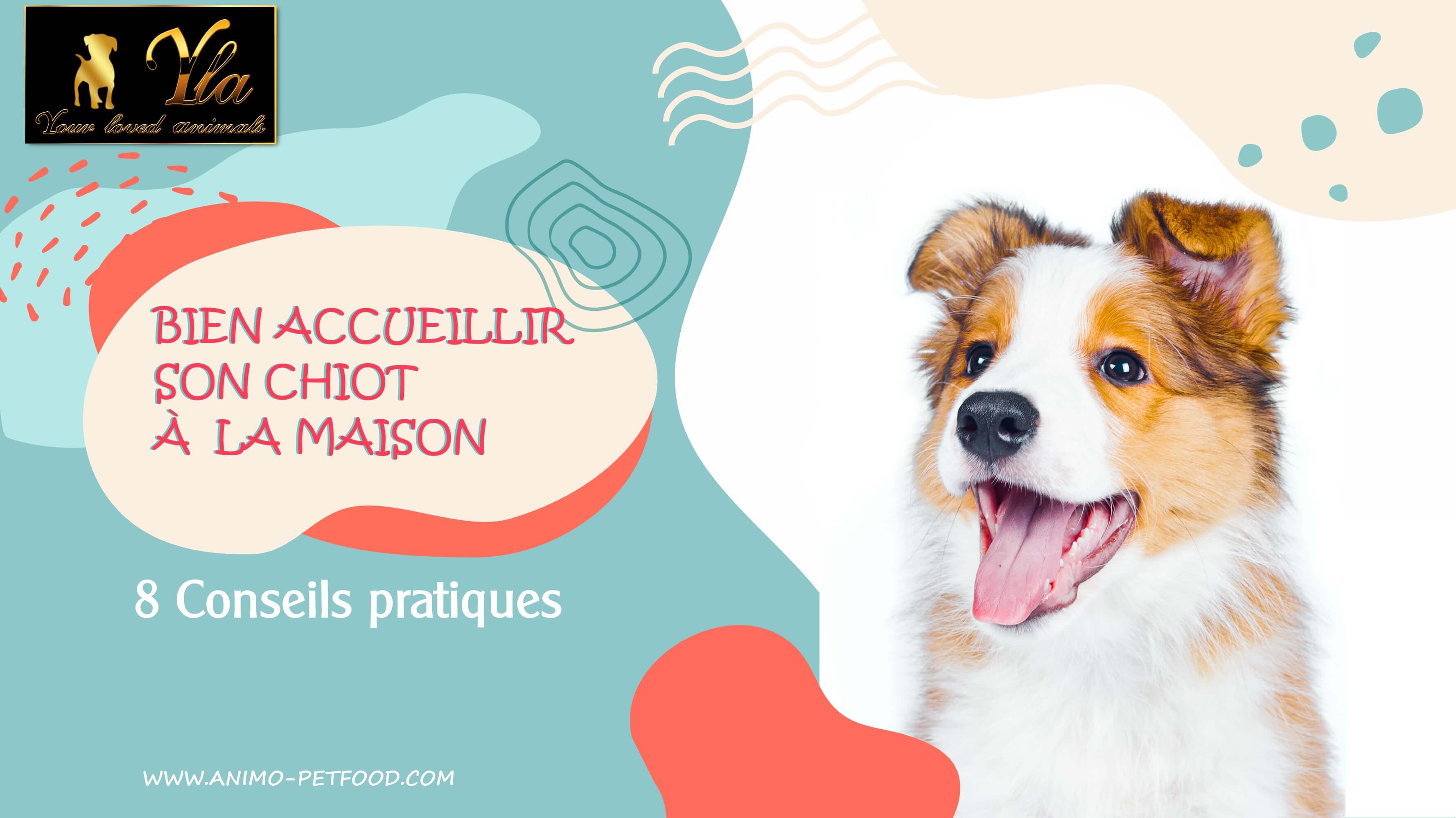 accueil de votre nouveau chiot à la maison